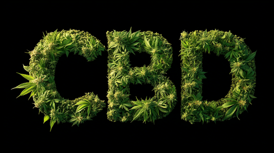 CBD aneb konopí, po němž se nezkouříte